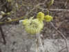 dscf6397