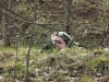 dscf7232_0
