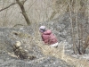 dscf5743_0