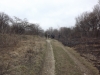 dscf5754