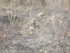 dscf5925_0