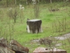 dscf7735